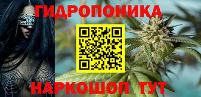 стафф Партизанск