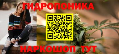 стафф Партизанск